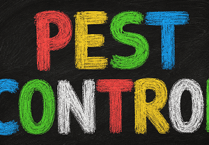 Control de plagas